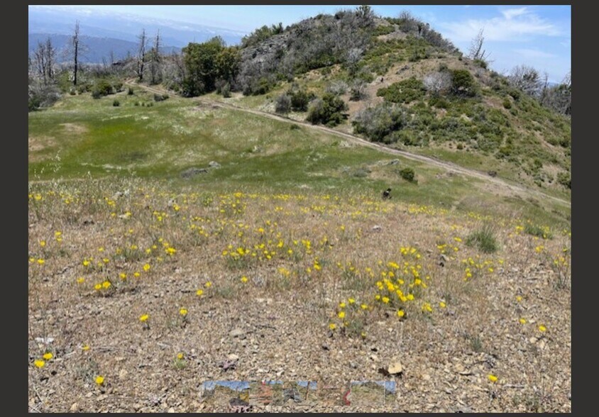 More Photos Of 0 Pine Flat Rd, Healdsburg Land For Sale