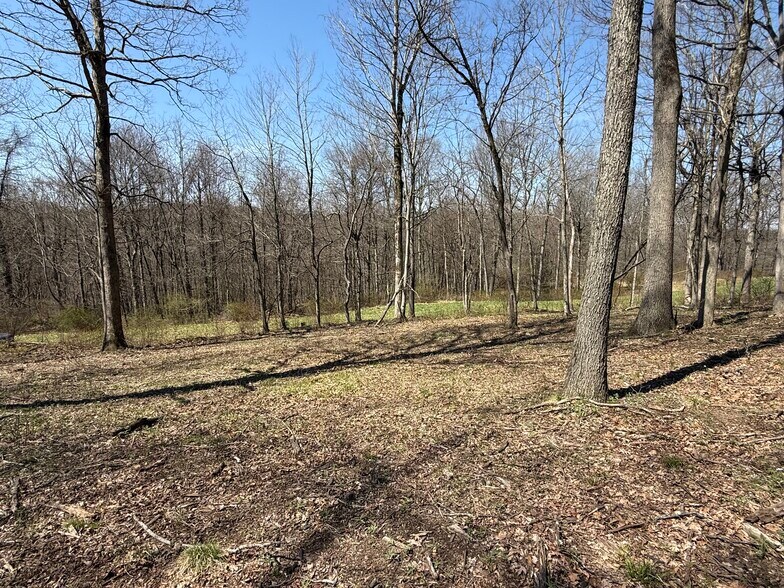 More Photos Of 0 Kragel Rd, Wintersville Land For Sale