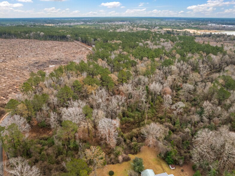 More Photos Of TBD 25 acres Tatoo Road, Glenmora Land For Sale