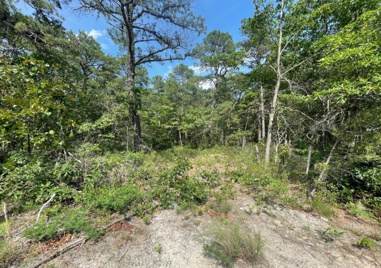 More Photos Of 1463 Route 539, Tuckerton Land For Sale