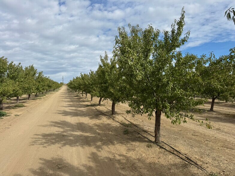 More Photos Of 28815 County Road 12A, Esparto Land For Sale