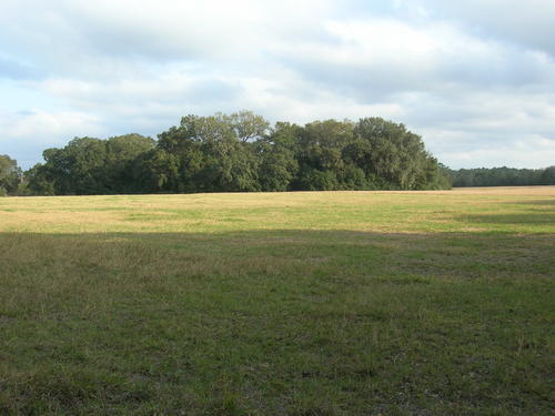 More Photos Of 4107 NE 255th Dr, Melrose Land For Sale