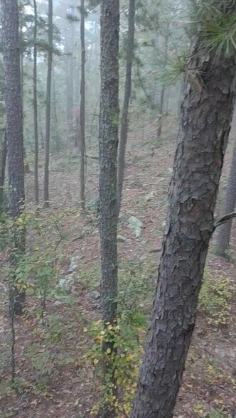 More Photos Of 27546 Reservation Rd, Daisy Land For Sale