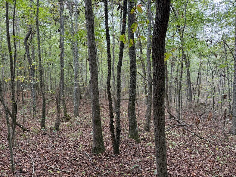 More Photos Of Colquitt Rd, Cedartown Land For Sale
