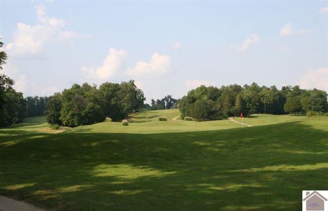 More Photos Of 183 Arrowhead Club Dr, Cadiz Golf Course Driving Range For Sale
