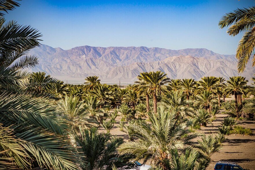 Primary Photo Of Harrison St @ Ave 76, Thermal Land For Sale