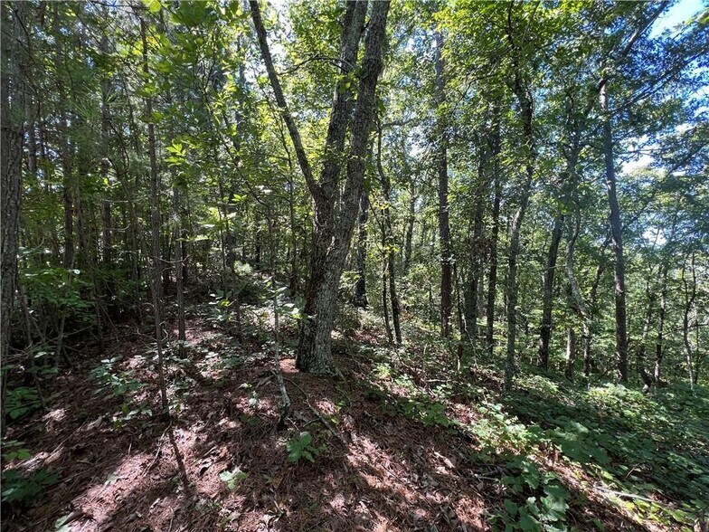 More Photos Of 16 Hawks Branch #123, White Land For Sale