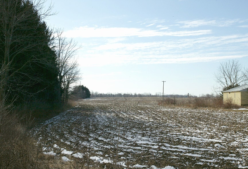 Primary Photo Of 4692 14th St, Dorr Land For Sale