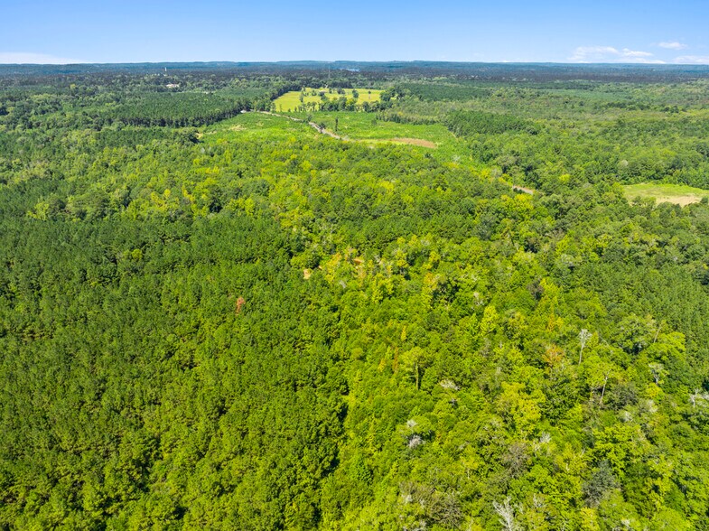 More Photos Of 7471 Highway 155, Saline Land For Sale