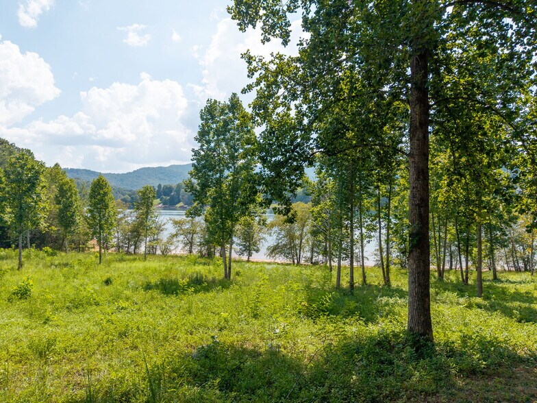 More Photos Of 314 Lakeside dr, Hiawassee Land For Sale
