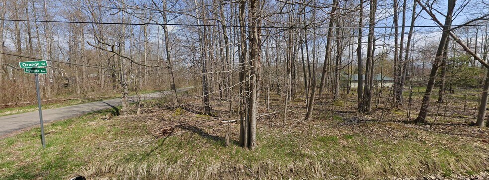 More Photos Of Roanoke Ave @ Orange, Angola Land For Sale