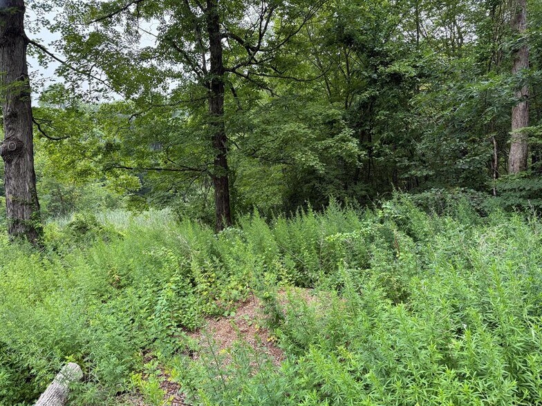 More Photos Of 0 Sally Burr Rd, Litchfield Land For Sale