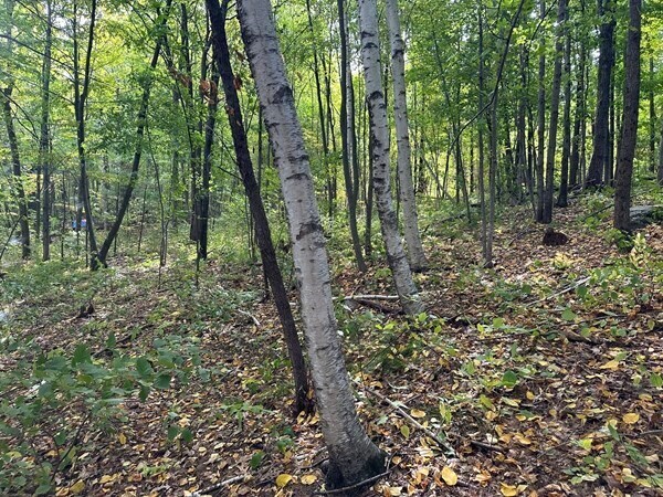 More Photos Of 160 Brookline St, Worcester Land For Sale