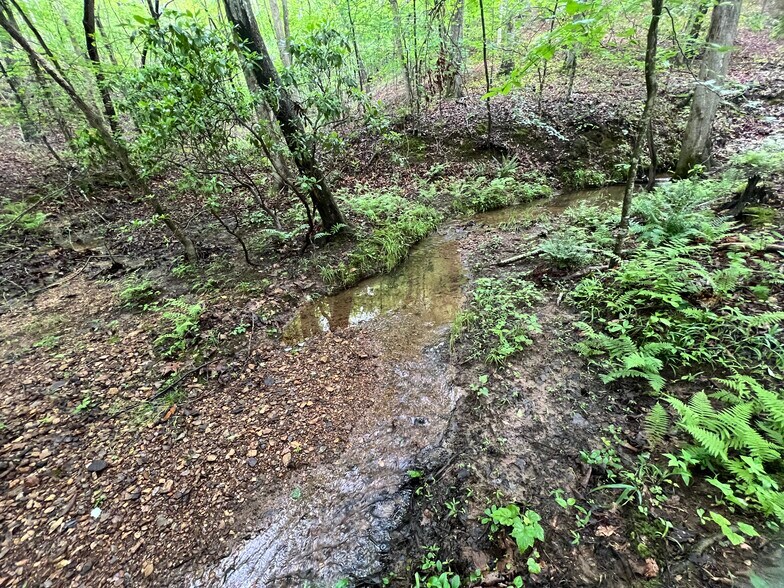 Primary Photo Of 395 Able rd, Waleska Land For Sale