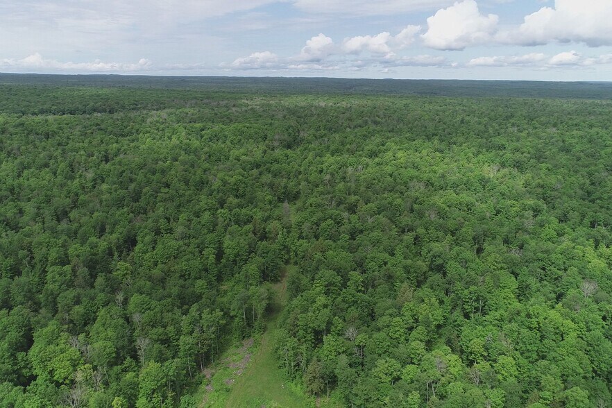 Primary Photo Of Laird Road Rd, Pelkie Land For Sale