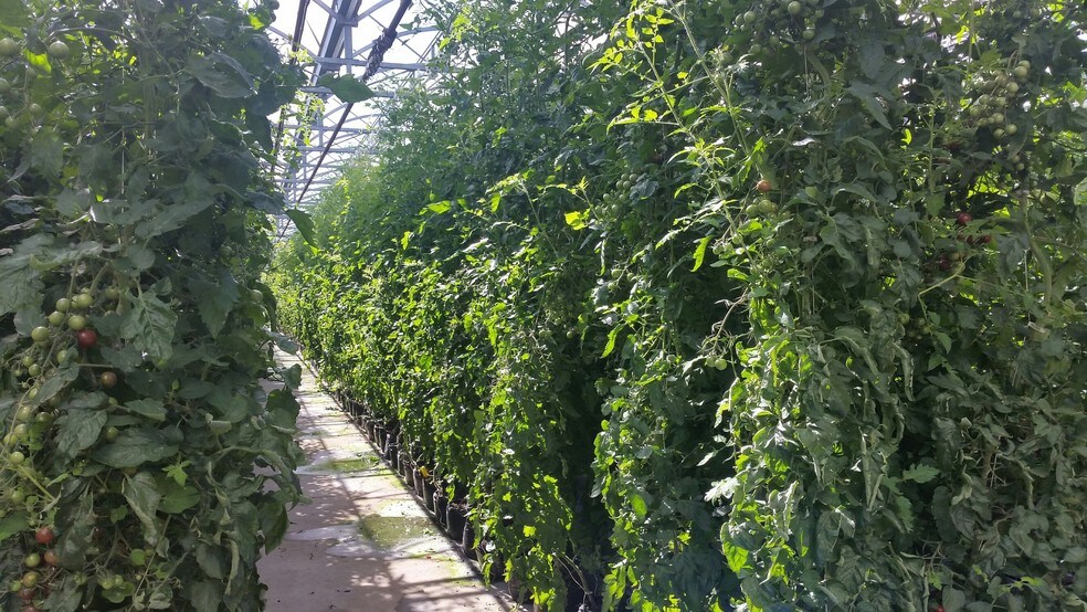 More Photos Of 1113 Herkimer Rd, Utica Distribution For Lease