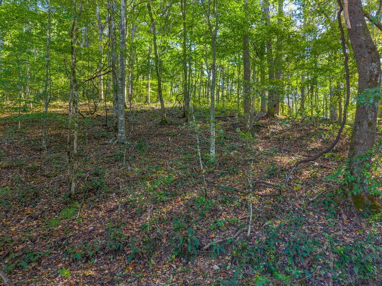 More Photos Of 0 Cox Hollow Rd, Dover Land For Sale