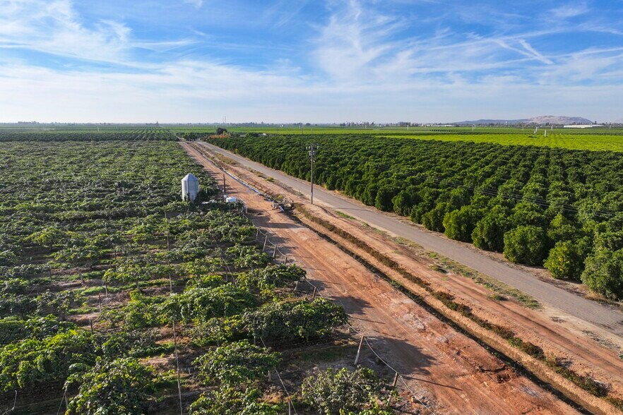 More Photos Of 39496 Road 136, Cutler Land For Sale