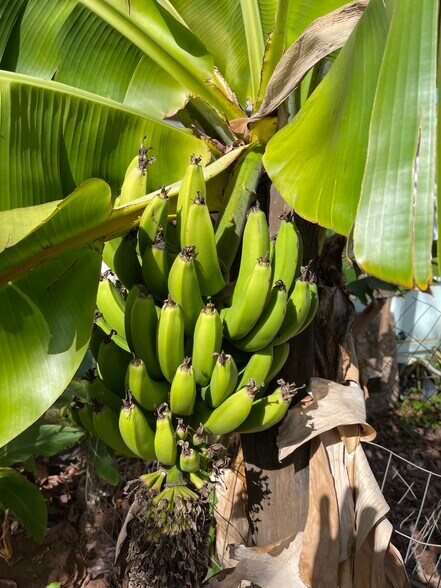 More Photos Of 3135 Lower Kula Rd, Kula Storefront Retail Office For Sale