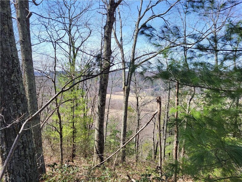 More Photos Of 8 Henry Rd, Cragsmoor Land For Sale