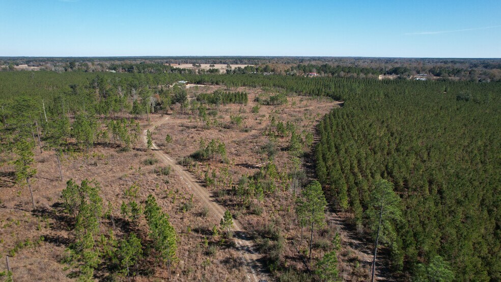 More Photos Of 17675 Cedar Springs Rd, Blakely Land For Sale