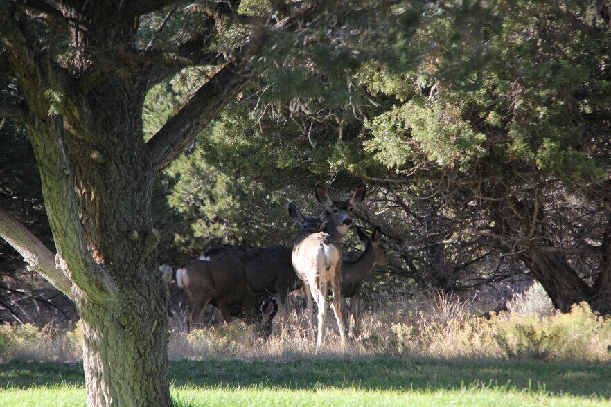 More Photos Of 1627 950 South, Parowan Land For Sale