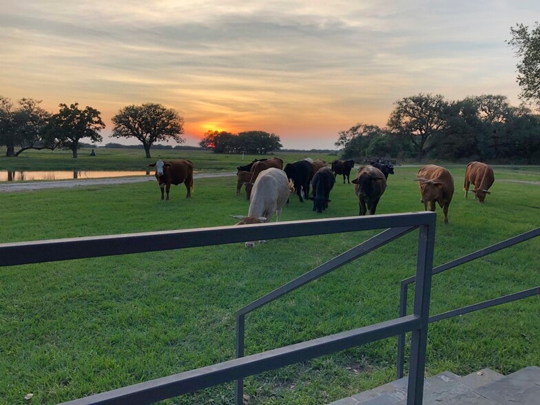 More Photos Of CR 19, Hallettsville Land For Sale