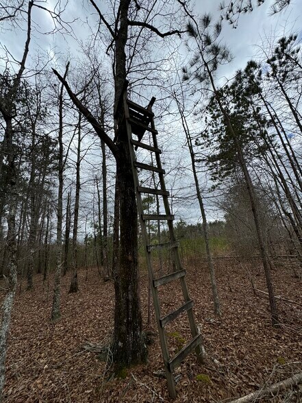 More Photos Of 10831 Highway 9, Kellyton Land For Sale