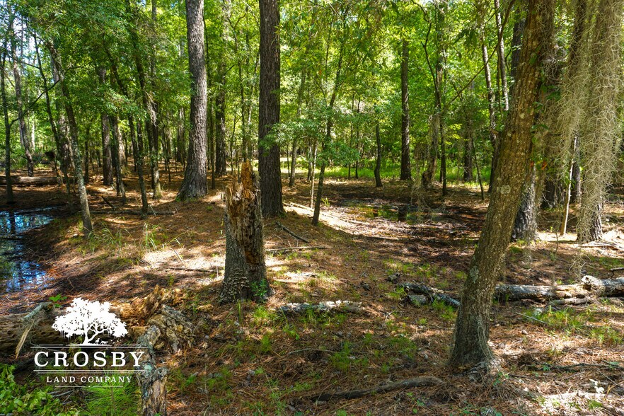More Photos Of 3009 Lowcountry Drive, Ridgeland Land For Sale