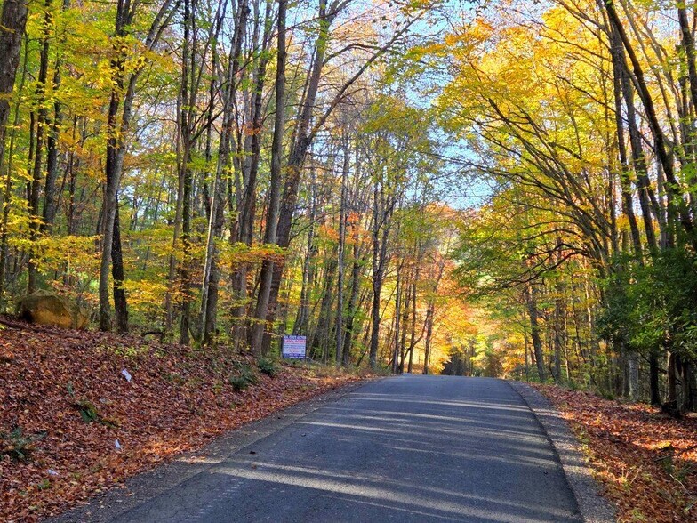 More Photos Of 0 Old Pluto Rd, Shady Spring Land For Sale