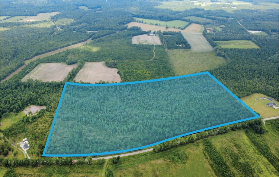 Primary Photo Of 0 Cane Branch Rd, Walterboro Land For Sale