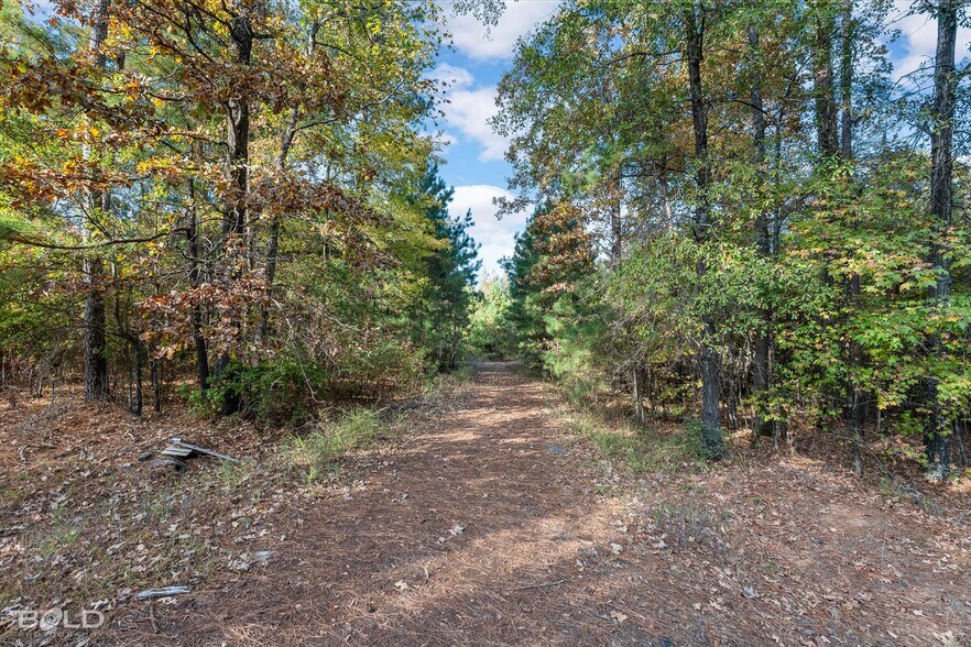 More Photos Of 291 Parks rd, Benton Land For Sale