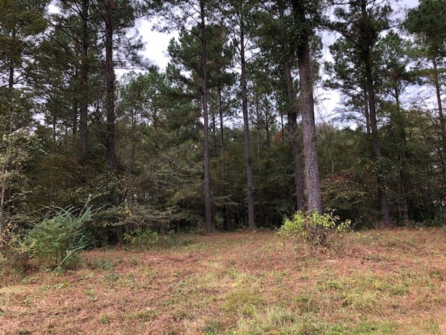 More Photos Of Wood Oak Cir, Cochran Land For Sale