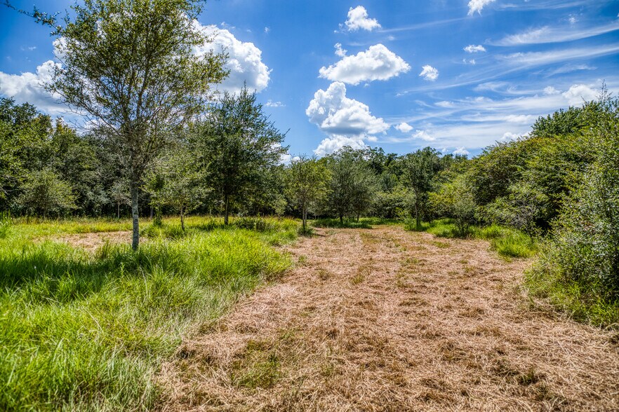 More Photos Of 3618 TX-159, La Grange Land For Sale