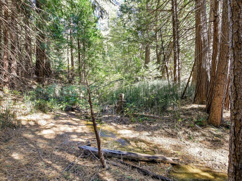 More Photos Of 13651 US Hwy 50, Kyburz Land For Sale