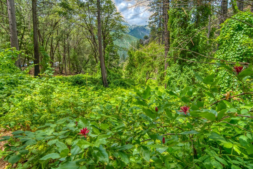 More Photos Of 14785 Belden Town rd, Belden Hotel For Sale