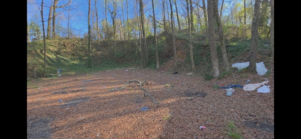 More Photos Of 6409 Georgia Rd, Birmingham Land For Sale