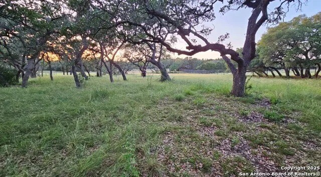 More Photos Of 874 Maximino Ridge Rd, Bulverde Land For Sale
