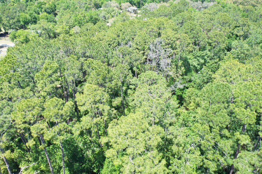 Primary Photo Of 638 Walnut St, Welaka Land For Sale