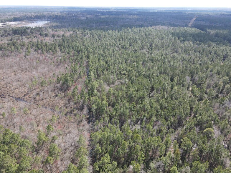 More Photos Of 0 Highway 43 N., Axis Land For Sale