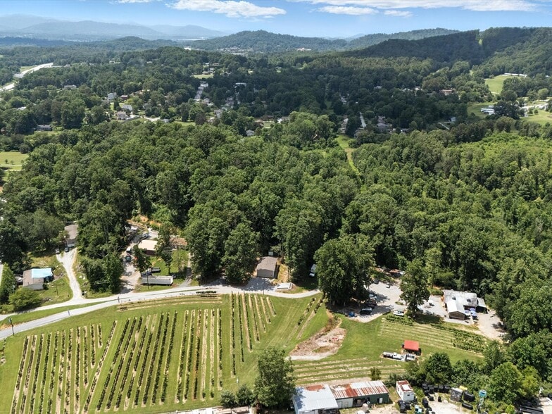 More Photos Of 124 Sandy Hill Ln, Hendersonville Winery Vineyard For Sale