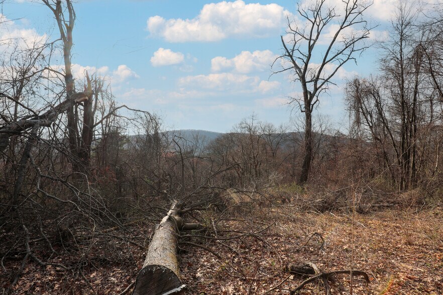 More Photos Of 625 Broadway, Ulster Park Land For Sale