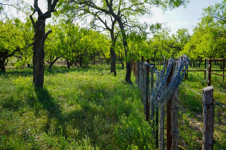 More Photos Of 723 FM 2926, Baird Land For Sale