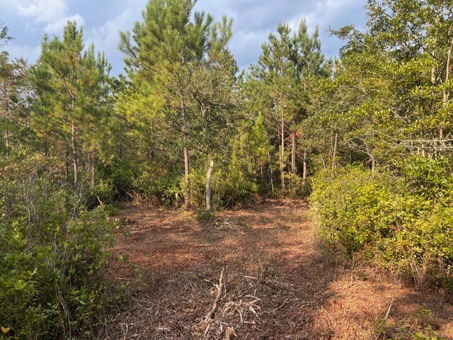 More Photos Of 319 - 547 Sisters Ferry Road, Ridgeland Land For Sale