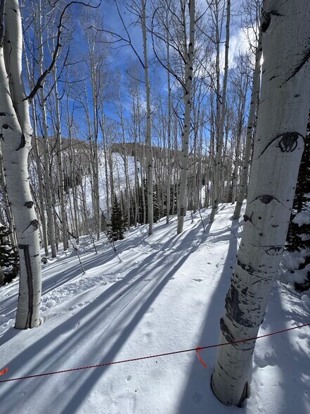 Primary Photo Of Parcels Logan lot 724 - U.P. No.2 lot 724 @ Red Cloud Rd., Park City Land For Sale