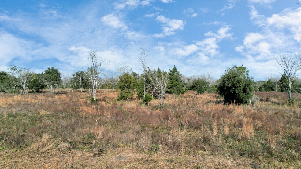 More Photos Of 10 FM 2403, Alvin Land For Sale