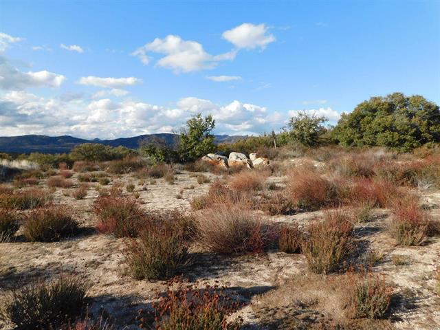 More Photos Of 34679 Old Highway 80, Pine Valley Land For Sale