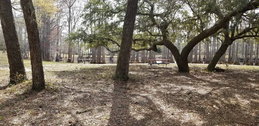 More Photos Of 16001 Highway 17, Hampstead Land For Sale