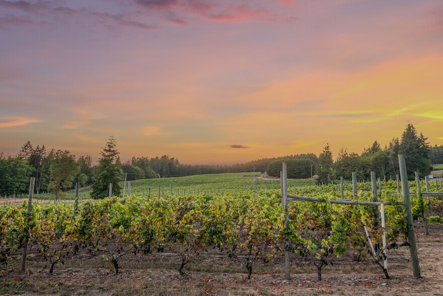 More Photos Of , Duncan Winery Vineyard For Sale