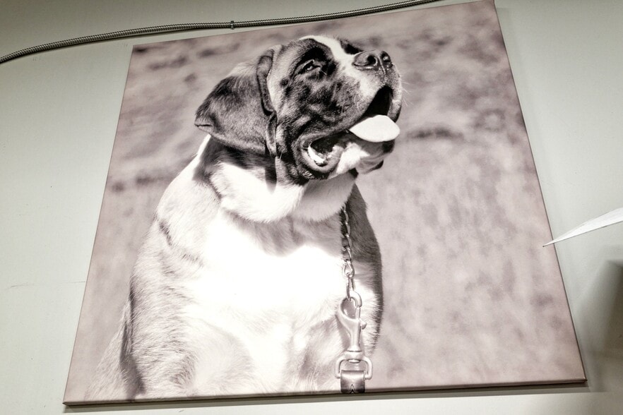 More Photos Of 3145 Dundas St W, Mississauga Storefront Retail Office For Lease